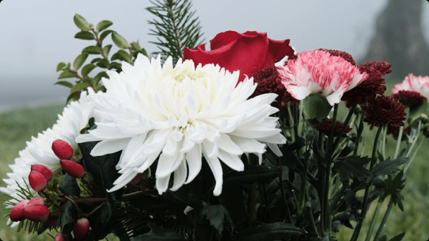 Bouquet dans la brume